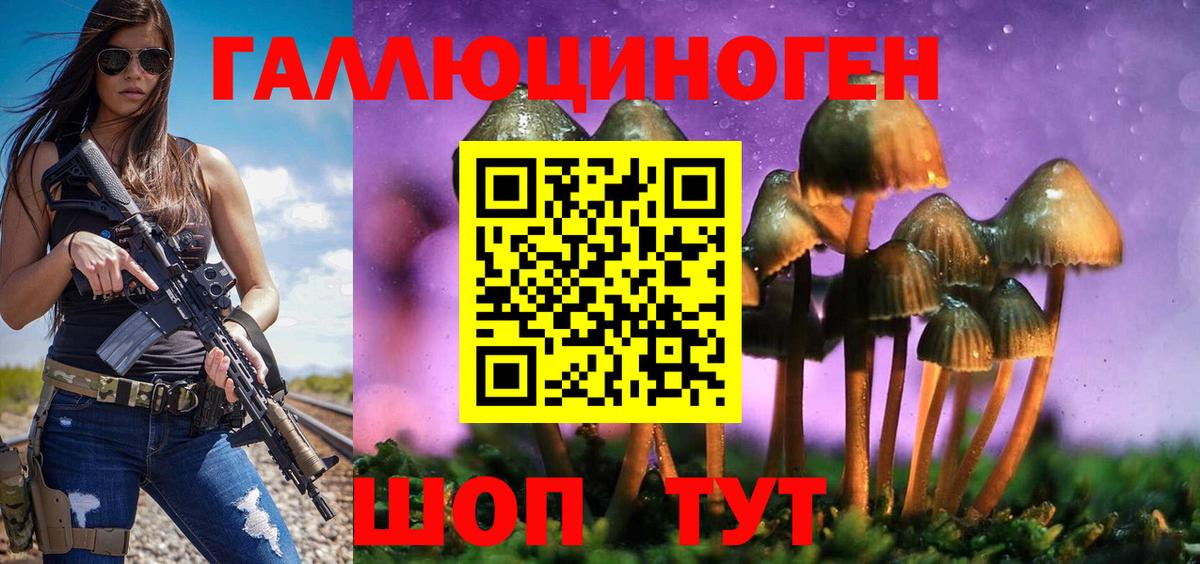 Галлюциногенные грибы Psilocybe Туапсе