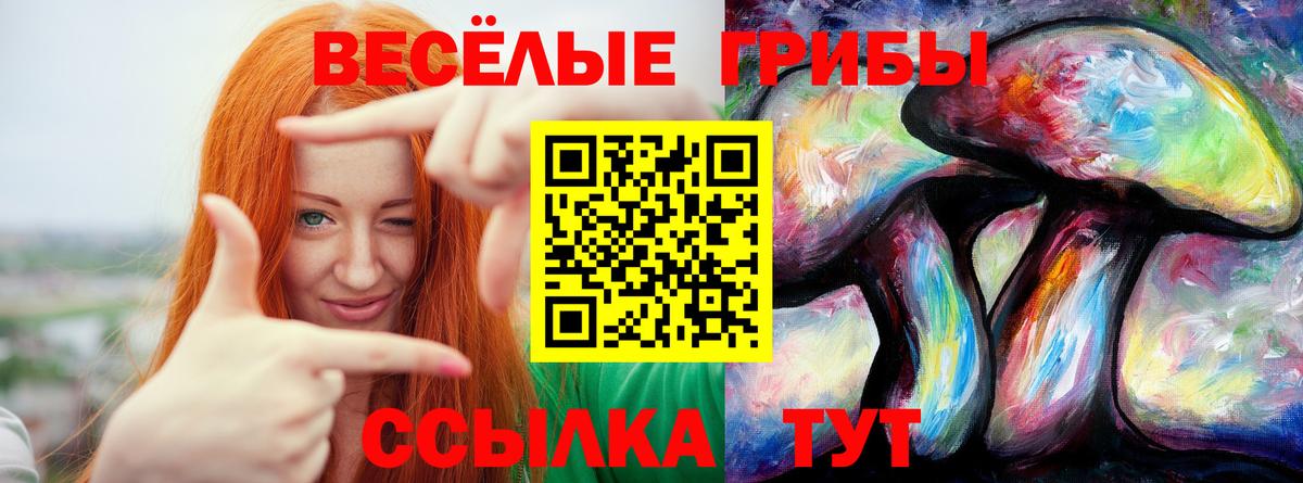 Галлюциногенные грибы Cubensis  Вход с VPN  Туапсе 